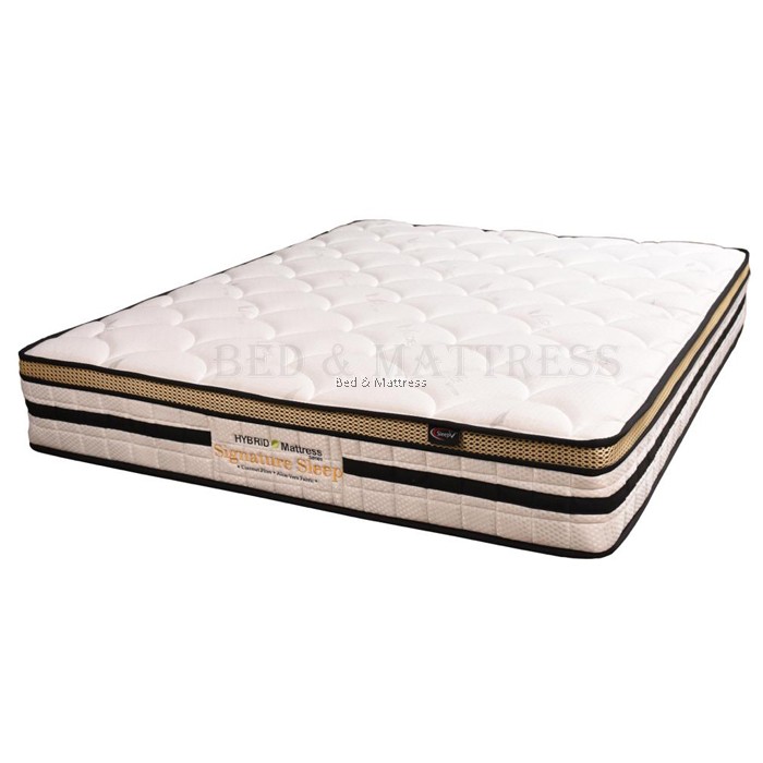 SleepV Signature Sleep Chiropractic Coil Mattress