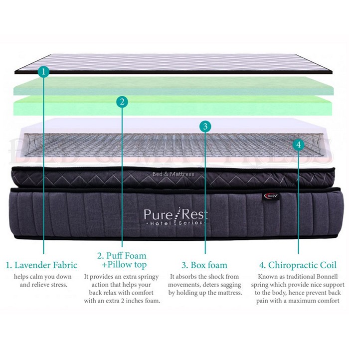 SleepV Pure Rest Chiropractic Coil Mattress